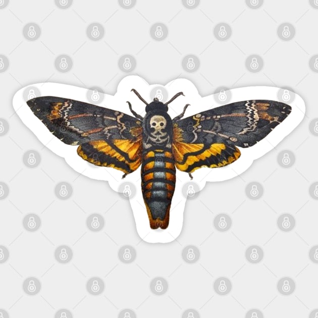 Death's Head Hawkmoth Acherontia atropos Sticker by The Curious Cabinet